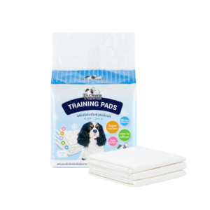 Dr. Choice Training Pad 45x60 cm (10 Pads)